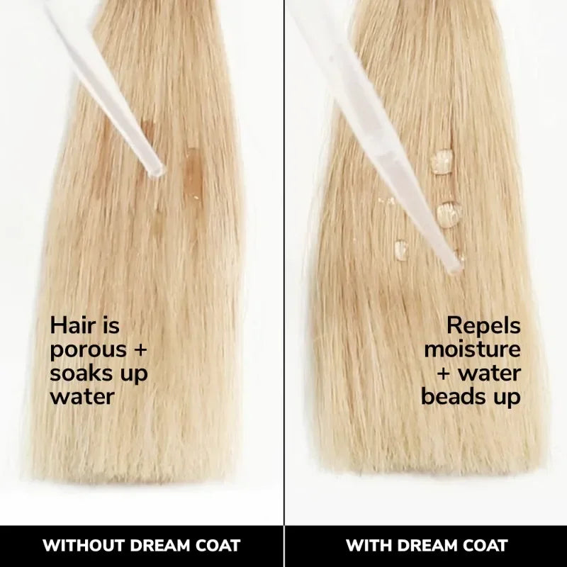 COLOR WOW Dream Coat Original Hair Mask